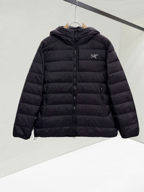 ArcTeryx Lightweight Down Hooded Jacket, Wearable Alone