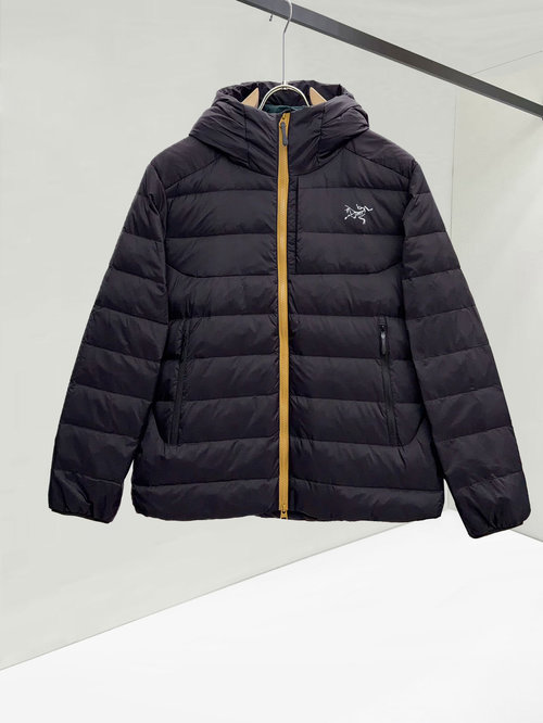ArcTeryx Lightweight Down Hooded Jacket, Wearable Alone
