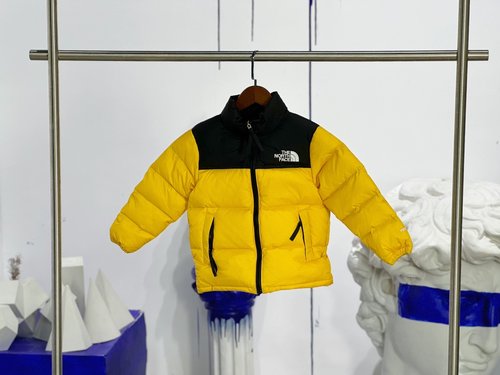 The North Face Premium Kids Goose Down Jacket (1700 Fill, RDS Certified)