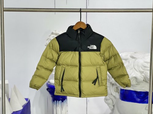 The North Face Premium Kids Goose Down Jacket (1700 Fill Power, RDS Certified)