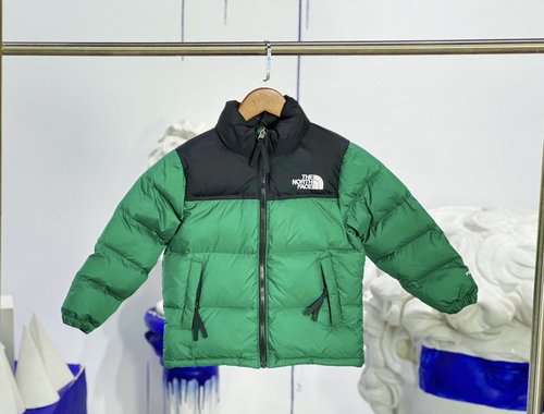 The North Face Premium Kids Goose Down Jacket with RDS & 1700 Fill Power 