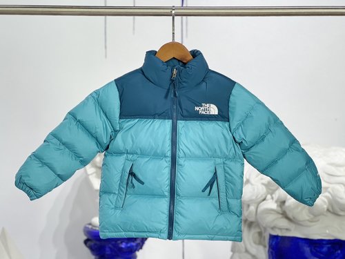 The North Face Kids Premium Goose Down Jacket (1700 Fill Power)